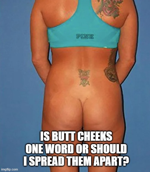 memes by Brad - Is butt cheeks one word or should I spread them apart? - humor - | IS BUTT CHEEKS ONE WORD OR SHOULD I SPREAD THEM APART? | image tagged in funny,fun,butt,play on words,humor,english | made w/ Imgflip meme maker