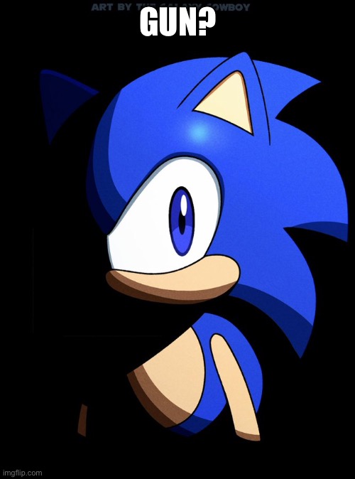 Sonic Blank Stare In The Dark | GUN? | image tagged in sonic blank stare in the dark | made w/ Imgflip meme maker