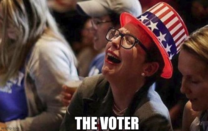 Crying Liberal | THE VOTER | image tagged in crying liberal | made w/ Imgflip meme maker