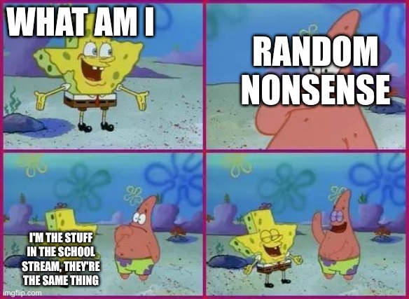 Texas Spongebob | WHAT AM I; RANDOM NONSENSE; I'M THE STUFF IN THE SCHOOL STREAM, THEY'RE THE SAME THING | image tagged in texas spongebob | made w/ Imgflip meme maker