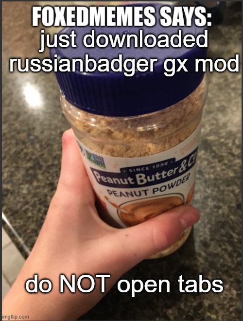 (tab sound still better than Your Best ULTRAKILL Experience) | just downloaded russianbadger gx mod; do NOT open tabs | image tagged in foxedmemes template is back | made w/ Imgflip meme maker