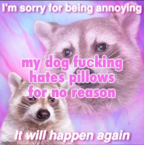 sorry for being annoying | my dog fuсking hates pillows for no reason | image tagged in sorry for being annoying | made w/ Imgflip meme maker
