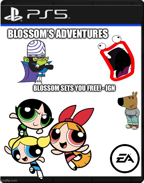 Blossom’s Adventures For PS5! | BLOSSOM’S ADVENTURES; BLOSSOM SETS YOU FREE! - IGN | image tagged in blank ps5 case,playstation,cartoon network,electronic arts | made w/ Imgflip meme maker