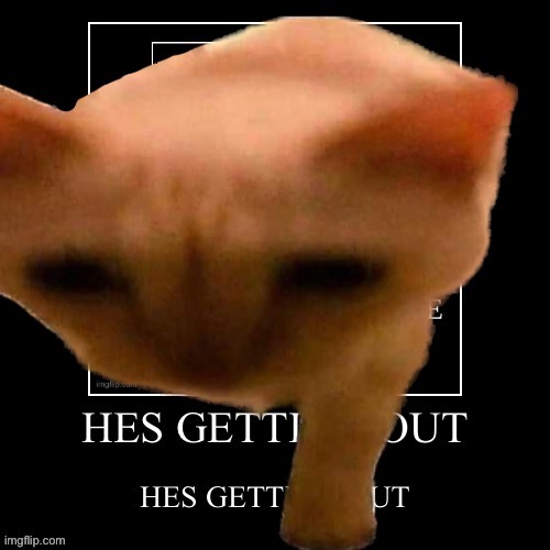 HE’S GETTING OUT | made w/ Imgflip meme maker