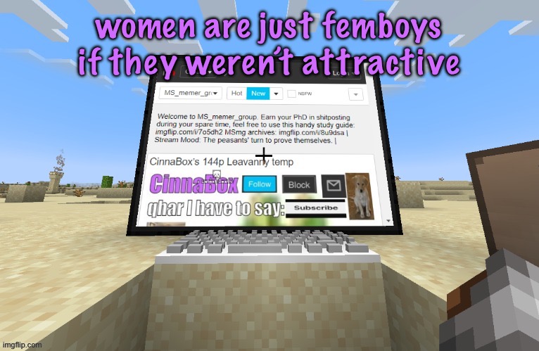 i bet this post PISSED you all the FUCK off and you all have STEAM blowing out of your EARS and you have a RED FACE | women are just femboys if they weren’t attractive | image tagged in cinnabox in minecraft | made w/ Imgflip meme maker