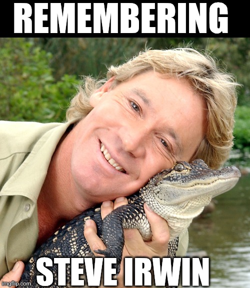 Remembering Steve Irwin | REMEMBERING; STEVE IRWIN | image tagged in chris joines | made w/ Imgflip meme maker
