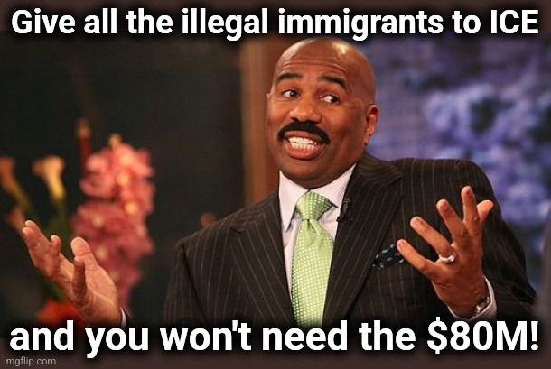 shrug | Give all the illegal immigrants to ICE and you won't need the $80M! | image tagged in shrug | made w/ Imgflip meme maker