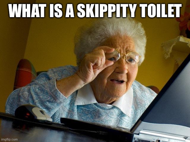 (mod note: SHE DOESN’T KNOW!!!!!!!!!!) | WHAT IS A SKIPPITY TOILET | image tagged in memes,grandma finds the internet | made w/ Imgflip meme maker