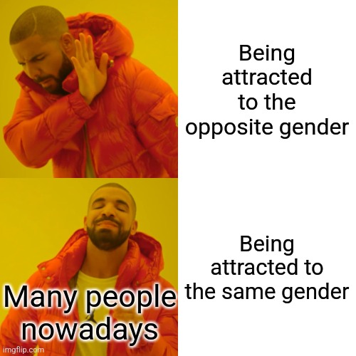 This defeated the purpose of having partners | Being attracted to the opposite gender; Being attracted to the same gender; Many people nowadays | image tagged in memes,drake hotline bling | made w/ Imgflip meme maker