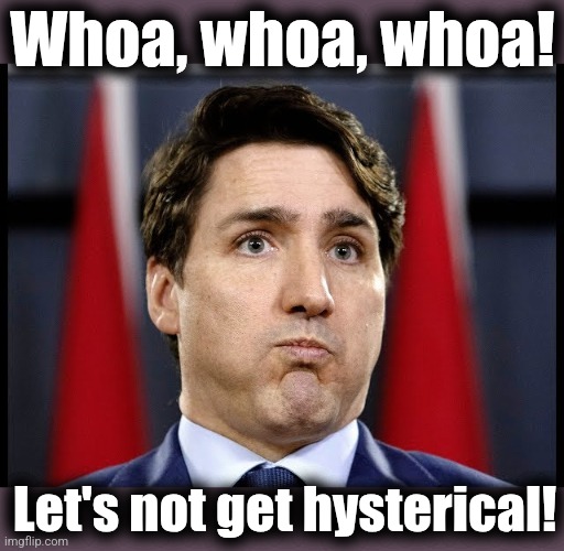 Justin Trudeau scared | Whoa, whoa, whoa! Let's not get hysterical! | image tagged in justin trudeau scared | made w/ Imgflip meme maker