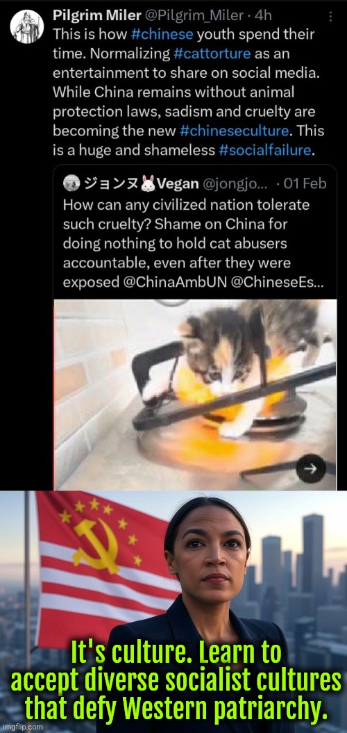 Socialist culture! | It's culture. Learn to accept diverse socialist cultures that defy Western patriarchy. | image tagged in supreme leader aoc,china,animals,liberal logic,diversity | made w/ Imgflip meme maker