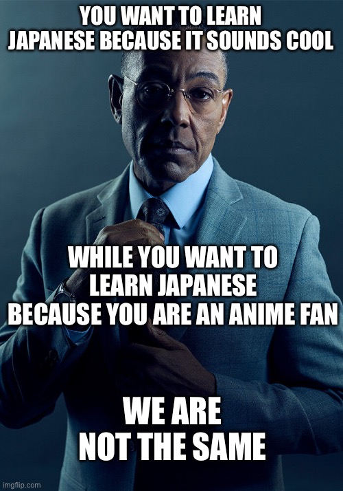 You don’t need to care for Japanese culture or japan to be an anime fan | YOU WANT TO LEARN JAPANESE BECAUSE IT SOUNDS COOL; WHILE YOU WANT TO LEARN JAPANESE BECAUSE YOU ARE AN ANIME FAN; WE ARE NOT THE SAME | image tagged in gus fring we are not the same | made w/ Imgflip meme maker