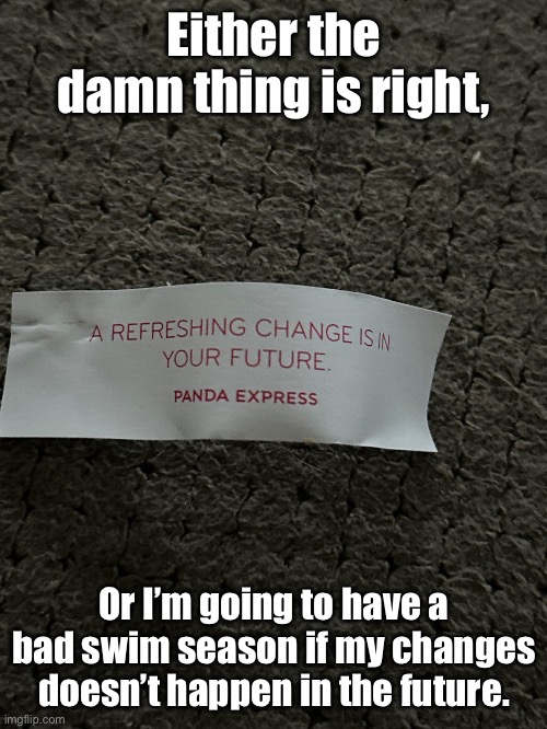 Fortune Cookies, Part 1 | Either the damn thing is right, Or I’m going to have a bad swim season if my changes doesn’t happen in the future. | image tagged in fortune cookie | made w/ Imgflip meme maker