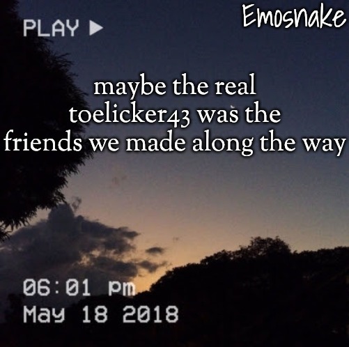 Emosnake's dreamy temp | maybe the real toelicker43 was the friends we made along the way | image tagged in emosnake's dreamy temp | made w/ Imgflip meme maker