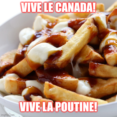 Poutine | VIVE LE CANADA! VIVE LA POUTINE! | image tagged in poutine | made w/ Imgflip meme maker