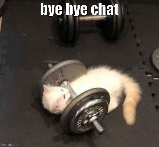 Gn (get naked) | bye bye chat | image tagged in cat working out | made w/ Imgflip meme maker
