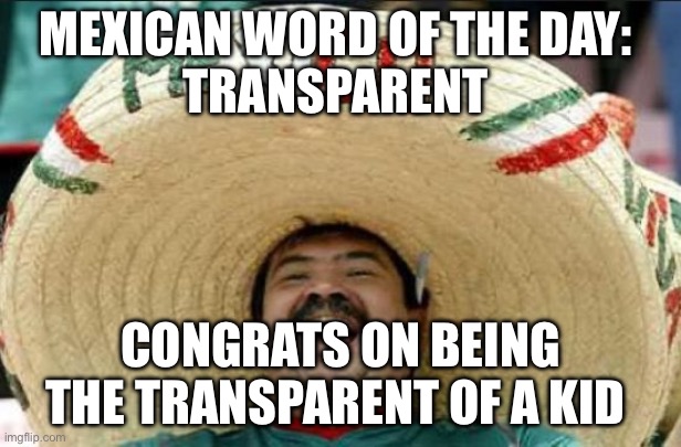mexican word of the day | MEXICAN WORD OF THE DAY: 
TRANSPARENT; CONGRATS ON BEING THE TRANSPARENT OF A KID | image tagged in mexican word of the day | made w/ Imgflip meme maker