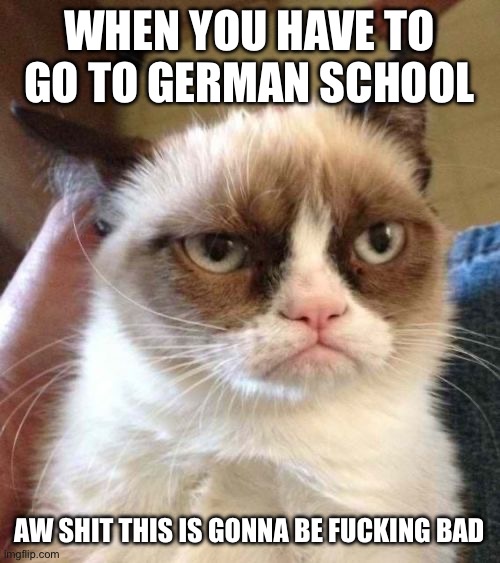 Grumpy Cat Reverse Meme | WHEN YOU HAVE TO GO TO GERMAN SCHOOL; AW SHIT THIS IS GONNA BE FUCKING BAD | image tagged in memes,grumpy cat reverse,grumpy cat | made w/ Imgflip meme maker