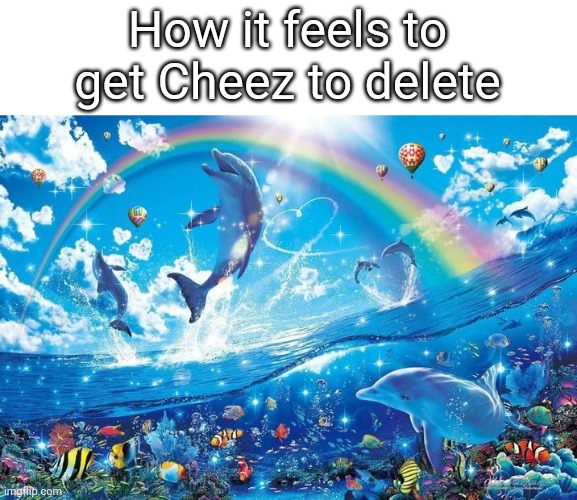 Happy dolphin rainbow | How it feels to get Cheez to delete | image tagged in happy dolphin rainbow | made w/ Imgflip meme maker