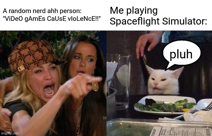 p l u h | A random nerd ahh person: "ViDeO gAmEs CaUsE vIoLeNcE!!"; Me playing Spaceflight Simulator:; pluh | image tagged in memes,woman yelling at cat | made w/ Imgflip meme maker