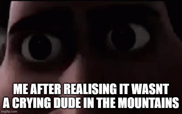 SCP 096 | ME AFTER REALISING IT WASNT A CRYING DUDE IN THE MOUNTAINS | image tagged in scp meme,scp 096 | made w/ Imgflip meme maker