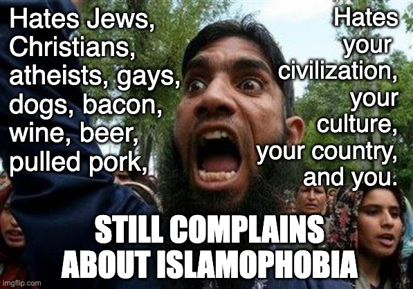 Thinking about buying a mastiff | Hates Jews, 
Christians, 
atheists, gays, 
dogs, bacon,
wine, beer, 
pulled pork, Hates  your 
civilization,
your culture,
your country,
and you. STILL COMPLAINS ABOUT ISLAMOPHOBIA | image tagged in angry muslim,haters hating | made w/ Imgflip meme maker