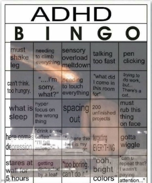 adhd bingo | image tagged in adhd bingo | made w/ Imgflip meme maker