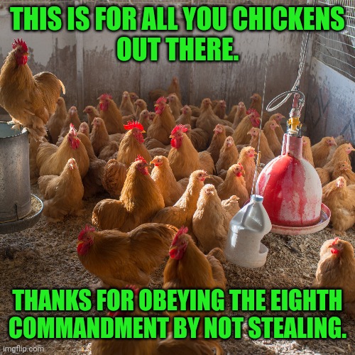 Being a chicken can be a good thing | THIS IS FOR ALL YOU CHICKENS
OUT THERE. THANKS FOR OBEYING THE EIGHTH COMMANDMENT BY NOT STEALING. | image tagged in bible,ten commandments,stealing,chicken,god,jesus | made w/ Imgflip meme maker