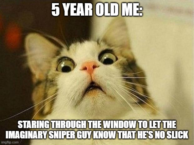 funny | 5 YEAR OLD ME:; STARING THROUGH THE WINDOW TO LET THE IMAGINARY SNIPER GUY KNOW THAT HE'S NO SLICK | image tagged in memes,scared cat | made w/ Imgflip meme maker