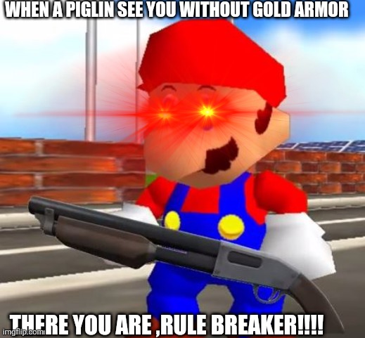 Minecraft | WHEN A PIGLIN SEE YOU WITHOUT GOLD ARMOR; THERE YOU ARE ,RULE BREAKER!!!! | image tagged in smg4 shotgun mario,mincraft | made w/ Imgflip meme maker