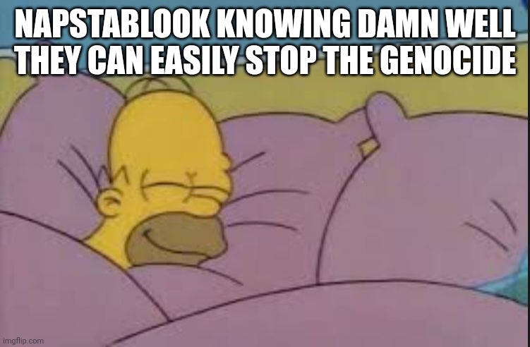 how i sleep homer simpson | NAPSTABLOOK KNOWING DAMN WELL THEY CAN EASILY STOP THE GENOCIDE | image tagged in how i sleep homer simpson | made w/ Imgflip meme maker