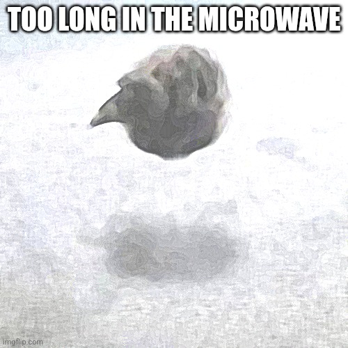 Pukeko | TOO LONG IN THE MICROWAVE | image tagged in pukeko | made w/ Imgflip meme maker