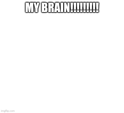 Blank | MY BRAIN!!!!!!!!! | image tagged in blank | made w/ Imgflip meme maker