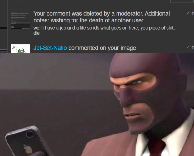 fun police are here.....its over | image tagged in tf2 spy looking at phone | made w/ Imgflip meme maker