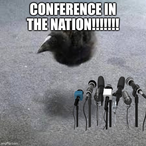 Pukeko | CONFERENCE IN THE NATION!!!!!!! | image tagged in pukeko | made w/ Imgflip meme maker