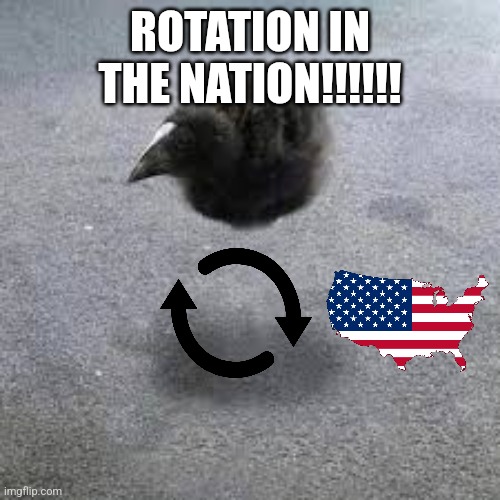 Pukeko | ROTATION IN THE NATION!!!!!! | image tagged in pukeko | made w/ Imgflip meme maker