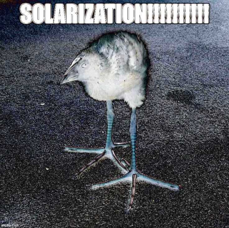 SOLARIZATION!!!!!!!!!! | made w/ Imgflip meme maker