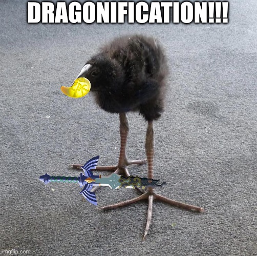 Might be the stupidest one yet | DRAGONIFICATION!!! | image tagged in pukeko chick | made w/ Imgflip meme maker