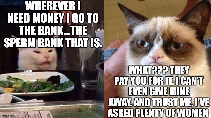 Reverse Smudge that darn cat | WHEREVER I NEED MONEY I GO TO THE BANK...THE SPERM BANK THAT IS. WHAT??? THEY PAY YOU FOR IT. I CAN'T EVEN GIVE MINE AWAY. AND TRUST ME, I'VE ASKED PLENTY OF WOMEN | image tagged in reverse smudge that darn cat | made w/ Imgflip meme maker