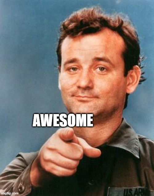 Bill Murray You're Awesome | AWESOME | image tagged in bill murray you're awesome | made w/ Imgflip meme maker