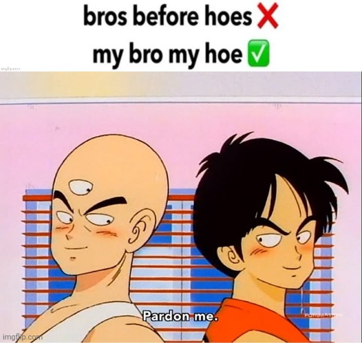 image tagged in when bro is the hoe | made w/ Imgflip meme maker