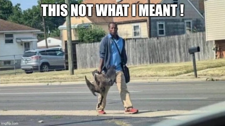 Haitian Man With Goose | THIS NOT WHAT I MEANT ! | image tagged in haitian man with goose | made w/ Imgflip meme maker