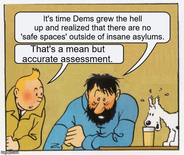 Mean but accurate -- leftist Kryptonite. | It's time Dems grew the hell up and realized that there are no 'safe spaces' outside of insane asylums. That's a mean but accurate assessment. | image tagged in what a week huh | made w/ Imgflip meme maker