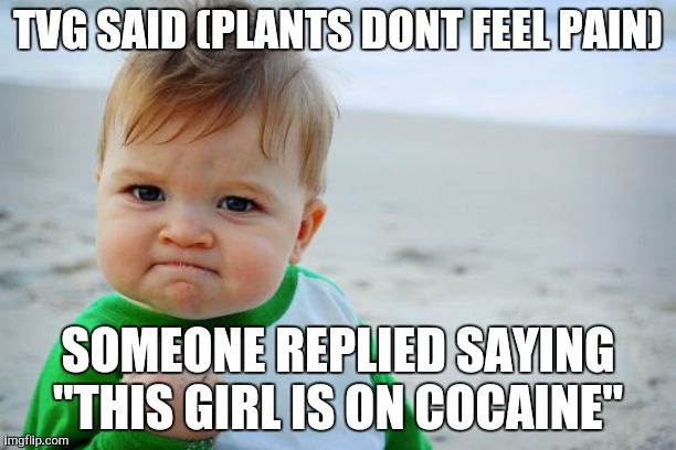 Tvg not tfg | TVG SAID (PLANTS DONT FEEL PAIN); SOMEONE REPLIED SAYING "THIS GIRL IS ON COCAINE" | image tagged in memes,success kid original | made w/ Imgflip meme maker