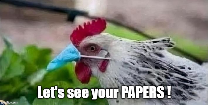 Let's see your PAPERS ! | made w/ Imgflip meme maker