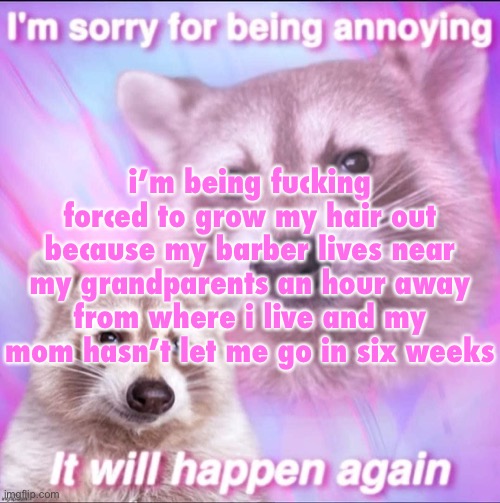 sorry for being annoying | i’m being fucking forced to grow my hair out because my barber lives near my grandparents an hour away from where i live and my mom hasn’t let me go in six weeks | image tagged in sorry for being annoying | made w/ Imgflip meme maker