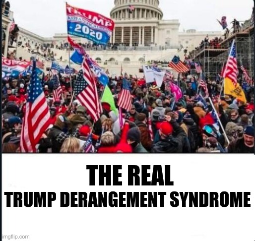 Trump Derangement Syndrome | TRUMP DERANGEMENT SYNDROME; THE REAL | image tagged in trump,gop,maga,nazi,fascist,insurrection | made w/ Imgflip meme maker