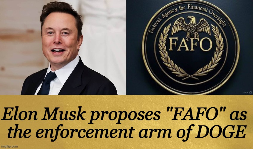 Federal Agency for Financial Oversight | Elon Musk proposes "FAFO" as 
the enforcement arm of DOGE | image tagged in fafo the enforcement arm of doge,elon musk,elon musk laughing,government,efficiency,perfect | made w/ Imgflip meme maker