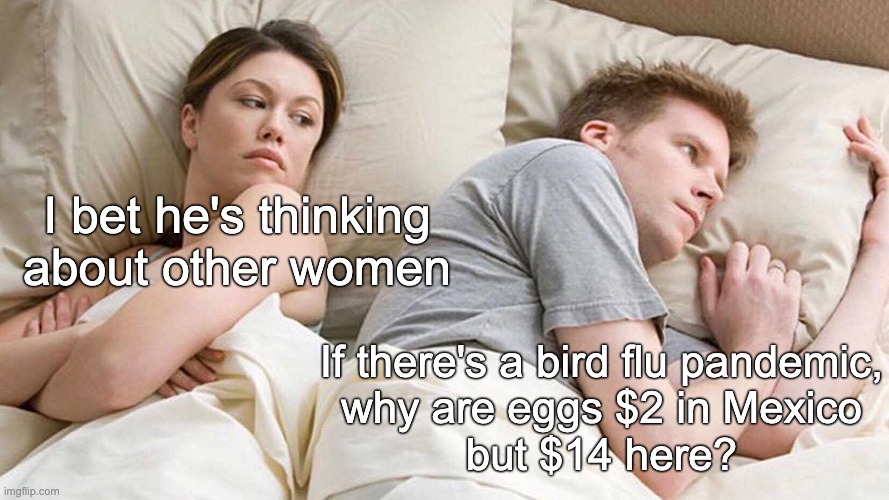 $2 Eggs | I bet he's thinking
about other women; If there's a bird flu pandemic,
why are eggs $2 in Mexico
but $14 here? | image tagged in memes,i bet he's thinking about other women | made w/ Imgflip meme maker