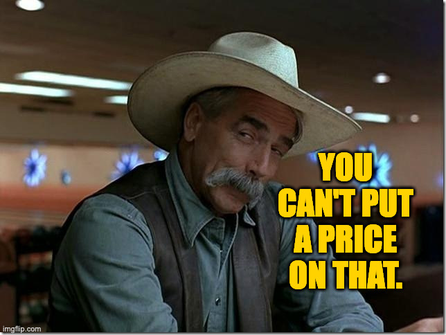 Sarcasm Cowboy | YOU CAN'T PUT A PRICE ON THAT. | image tagged in sarcasm cowboy | made w/ Imgflip meme maker